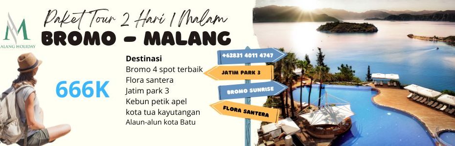 paket tour bromo malang 2 hari 1 malam 666K